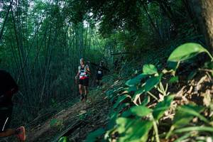 BIB: 
                            <button type="button" onclick="openModal(28124449)" class="btn btn-primary btn-sm float-right btn-popup" data-toggle="modal" data-target=".modal-high-quality">
                        <i class="fas fa-shopping-cart"></i> Add to Cart
                    </button>
                                            <button type="button" onclick="isThisMe(28124449, true)" class="btn btn-success btn-sm float-right btn-popup btn-isme hidden" data-toggle="tooltip" data-placement="bottom" title="นี่คือรูปของคุณใช่ไหม คลิกที่นี่เพื่อเอาเข้าอัลบั้ม">
                        <i class="fas fa-plus"></i> Add to album
                    </button>
                    <button type="button" onclick="isThisMe(28124449, false)" class="btn btn-warning btn-sm float-right btn-popup btn-isnotme hidden">
                        <i class="fas fa-ban"></i> Remove from album
                    </button>